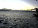 ./images/koeye/fitz-hugh/20201221/fitz-hugh20201221_162501.jpg