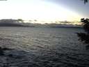 ./images/koeye/fitz-hugh/20201221/fitz-hugh20201221_164001.jpg