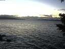 ./images/koeye/fitz-hugh/20201221/fitz-hugh20201221_164501.jpg