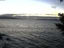 ./images/koeye/fitz-hugh/20201221/fitz-hugh20201221_165001.jpg