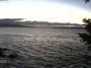 ./images/koeye/fitz-hugh/20201221/fitz-hugh20201221_170001.jpg
