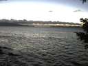 ./images/koeye/fitz-hugh/20201221/fitz-hugh20201221_171001.jpg