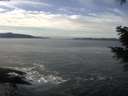 ./images/koeye/fitz-hugh/20201222/fitz-hugh20201222_120001.jpg