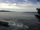 ./images/koeye/fitz-hugh/20201222/fitz-hugh20201222_120501.jpg