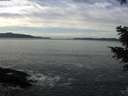 ./images/koeye/fitz-hugh/20201222/fitz-hugh20201222_121501.jpg