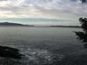 ./images/koeye/fitz-hugh/20201222/fitz-hugh20201222_122001.jpg