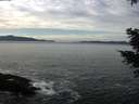 ./images/koeye/fitz-hugh/20201222/fitz-hugh20201222_122501.jpg