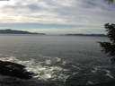 ./images/koeye/fitz-hugh/20201222/fitz-hugh20201222_123001.jpg
