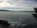 ./images/koeye/fitz-hugh/20201222/fitz-hugh20201222_123501.jpg