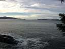 ./images/koeye/fitz-hugh/20201222/fitz-hugh20201222_124501.jpg