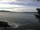 ./images/koeye/fitz-hugh/20201222/fitz-hugh20201222_125501.jpg