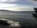 ./images/koeye/fitz-hugh/20201222/fitz-hugh20201222_130001.jpg