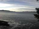 ./images/koeye/fitz-hugh/20201222/fitz-hugh20201222_130501.jpg