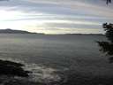 ./images/koeye/fitz-hugh/20201222/fitz-hugh20201222_131001.jpg