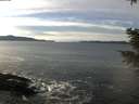 ./images/koeye/fitz-hugh/20201222/fitz-hugh20201222_132501.jpg