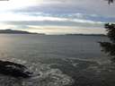 ./images/koeye/fitz-hugh/20201222/fitz-hugh20201222_133001.jpg