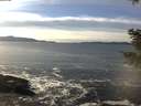./images/koeye/fitz-hugh/20201222/fitz-hugh20201222_135001.jpg