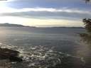 ./images/koeye/fitz-hugh/20201222/fitz-hugh20201222_135501.jpg