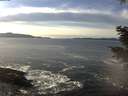 ./images/koeye/fitz-hugh/20201222/fitz-hugh20201222_140002.jpg