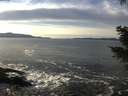 ./images/koeye/fitz-hugh/20201222/fitz-hugh20201222_140501.jpg