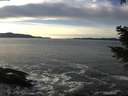 ./images/koeye/fitz-hugh/20201222/fitz-hugh20201222_141001.jpg