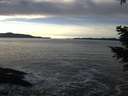 ./images/koeye/fitz-hugh/20201222/fitz-hugh20201222_141501.jpg