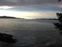 ./images/koeye/fitz-hugh/20201222/fitz-hugh20201222_142001.jpg