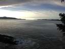 ./images/koeye/fitz-hugh/20201222/fitz-hugh20201222_142501.jpg