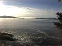 ./images/koeye/fitz-hugh/20201222/fitz-hugh20201222_143501.jpg