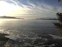 ./images/koeye/fitz-hugh/20201222/fitz-hugh20201222_145001.jpg
