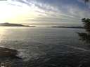 ./images/koeye/fitz-hugh/20201222/fitz-hugh20201222_145501.jpg