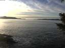 ./images/koeye/fitz-hugh/20201222/fitz-hugh20201222_150002.jpg