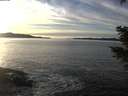 ./images/koeye/fitz-hugh/20201222/fitz-hugh20201222_150502.jpg