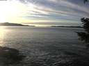 ./images/koeye/fitz-hugh/20201222/fitz-hugh20201222_151002.jpg