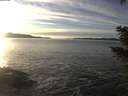 ./images/koeye/fitz-hugh/20201222/fitz-hugh20201222_151501.jpg
