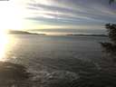 ./images/koeye/fitz-hugh/20201222/fitz-hugh20201222_152001.jpg