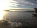 ./images/koeye/fitz-hugh/20201222/fitz-hugh20201222_152502.jpg