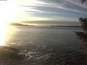 ./images/koeye/fitz-hugh/20201222/fitz-hugh20201222_153002.jpg