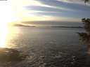./images/koeye/fitz-hugh/20201222/fitz-hugh20201222_153502.jpg