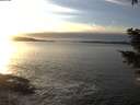 ./images/koeye/fitz-hugh/20201222/fitz-hugh20201222_154002.jpg