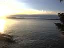 ./images/koeye/fitz-hugh/20201222/fitz-hugh20201222_154502.jpg