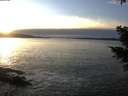 ./images/koeye/fitz-hugh/20201222/fitz-hugh20201222_155002.jpg