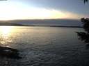 ./images/koeye/fitz-hugh/20201222/fitz-hugh20201222_155502.jpg
