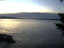 ./images/koeye/fitz-hugh/20201222/fitz-hugh20201222_161002.jpg