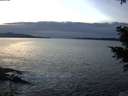 ./images/koeye/fitz-hugh/20201222/fitz-hugh20201222_162002.jpg