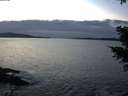 ./images/koeye/fitz-hugh/20201222/fitz-hugh20201222_162502.jpg