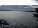 ./images/koeye/fitz-hugh/20201222/fitz-hugh20201222_163002.jpg