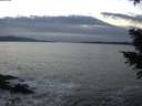 ./images/koeye/fitz-hugh/20201222/fitz-hugh20201222_163501.jpg
