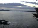 ./images/koeye/fitz-hugh/20201222/fitz-hugh20201222_164002.jpg