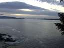 ./images/koeye/fitz-hugh/20201222/fitz-hugh20201222_164502.jpg